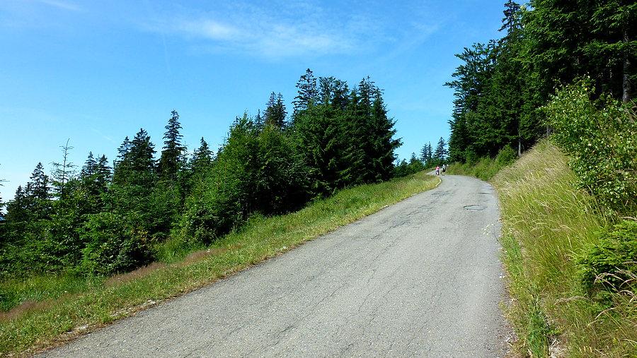 Gdzieś koło 6 km