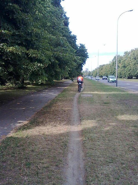 Ten typ warszawskiej ściezki rowerowej najbardziej mi przypadł do gustu. 100% eko, a jak gładko!