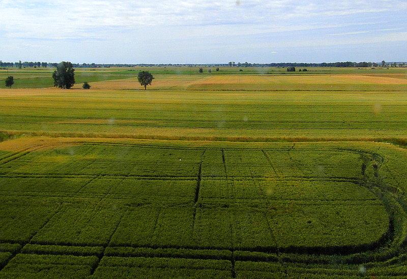 Widok na Żuławy z palczewskiego wiatraka