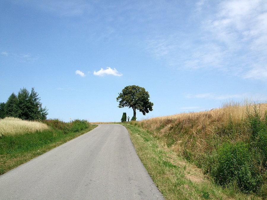 Podjazd w Różance w stronę Wielopola