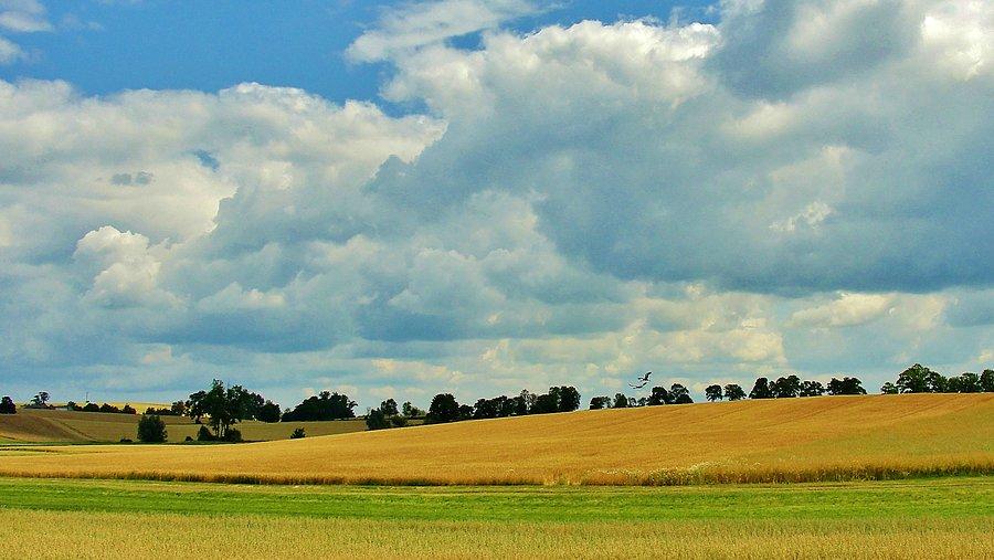 Okolice Tczewa