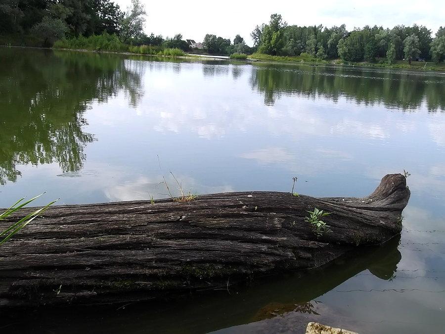 Antošovice