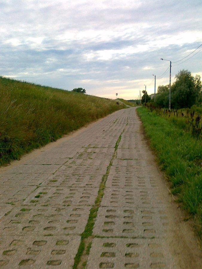 Trasa biegnie wzdłuż wału wiślanego. Fragment z dziurawki