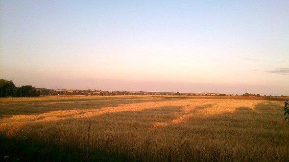 Pola w Jabłonnej