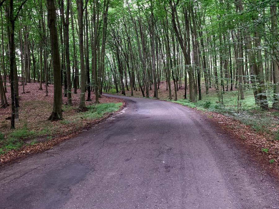 Początek podjazdu do Dobropola Gryfińskiego