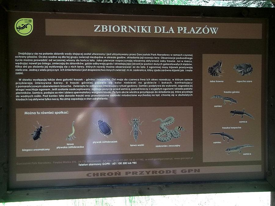 Zbiorniki dla płazów