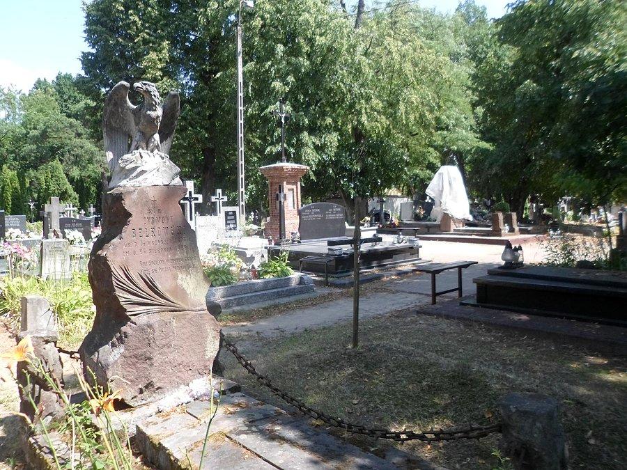 Grób Zygmunta Bełkowskiego. Słomczyn