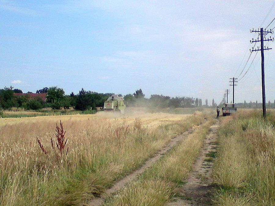 Lipcowe żniwa