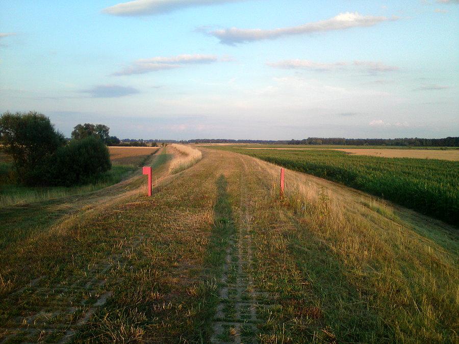 Wykoszony wał