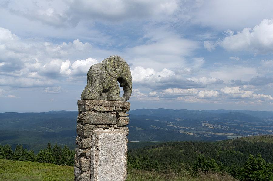 Słoń na Śnieżniku