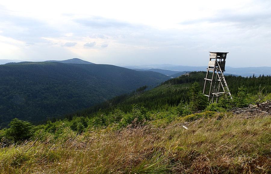 Widok z niebieskiego