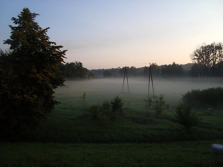 Mgły