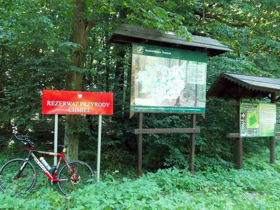 Rezerwat Przyrody "Chmiel" w Krzczonowskim Parku Krajobrazowym