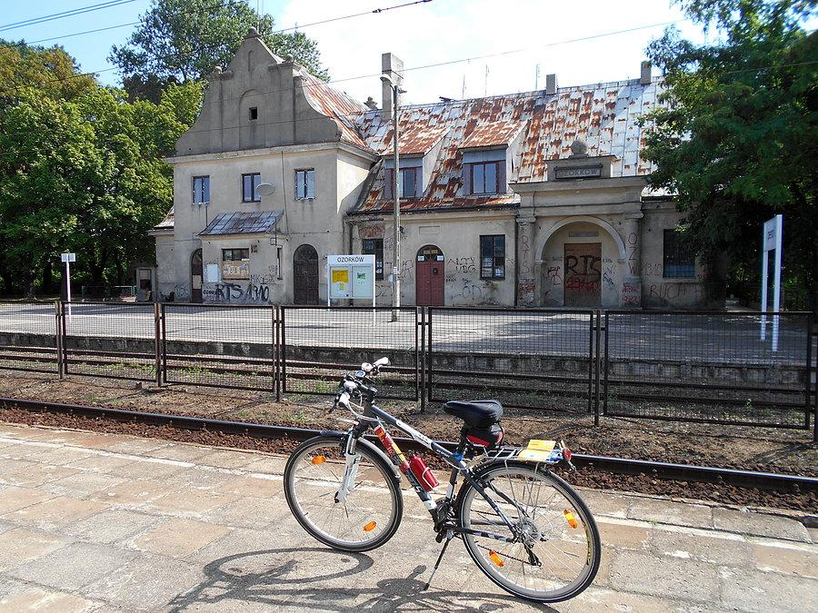 Ozorków