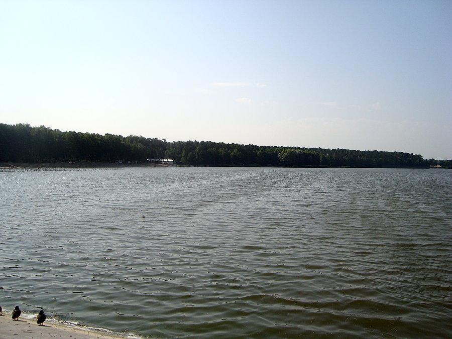 Gołuchów