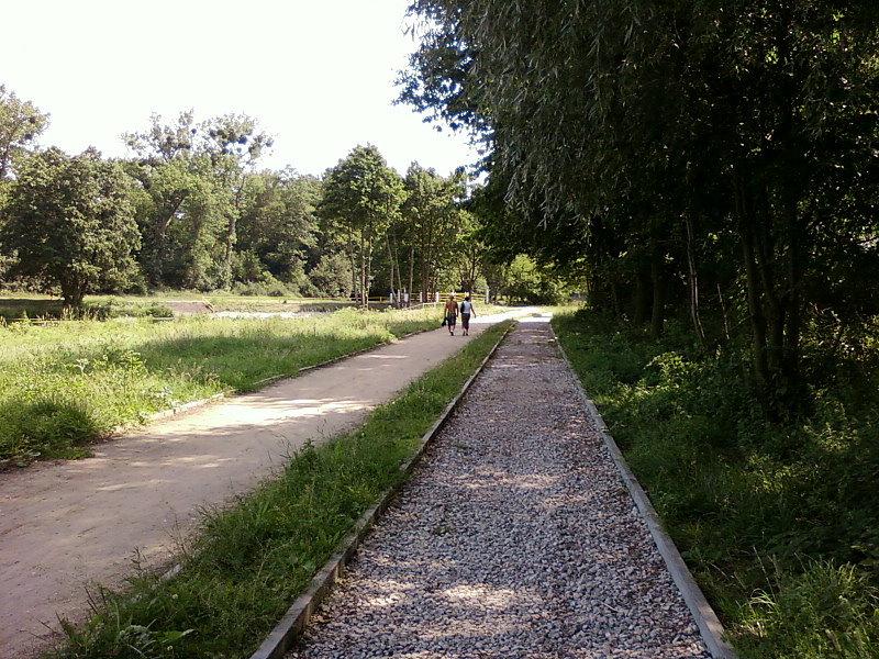 Przerwane prace przy Stawie Stefańskiego