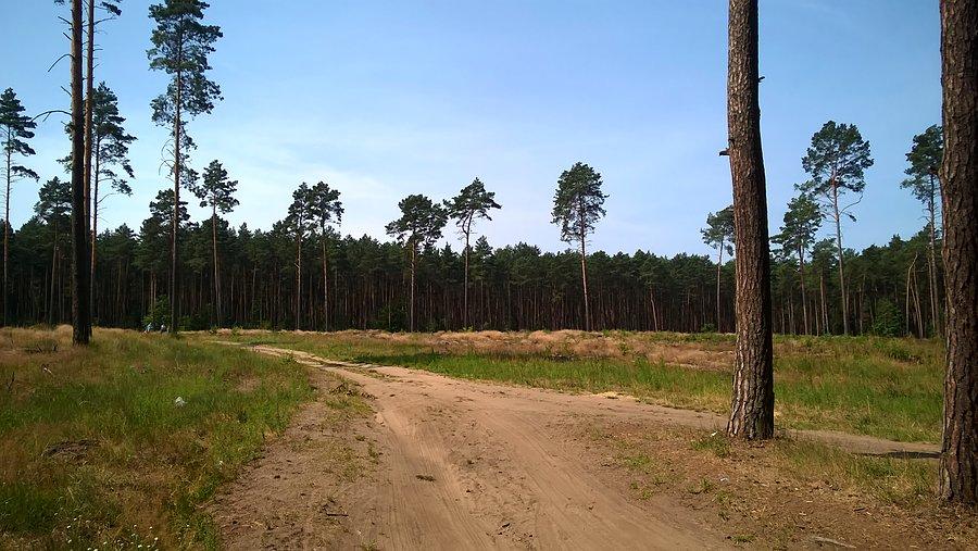 Tuczno