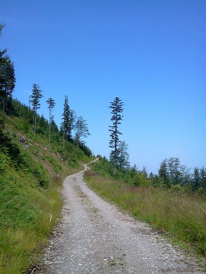 Szutrami