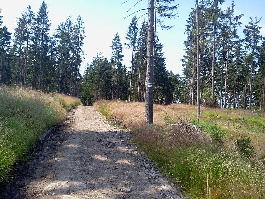 Karolówka