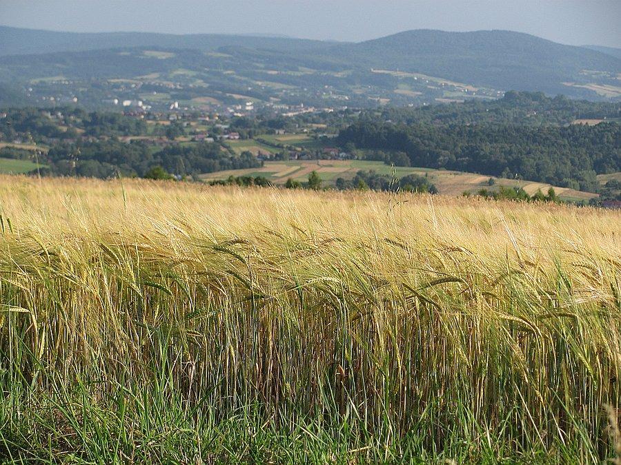 Znad Kwiatonowic