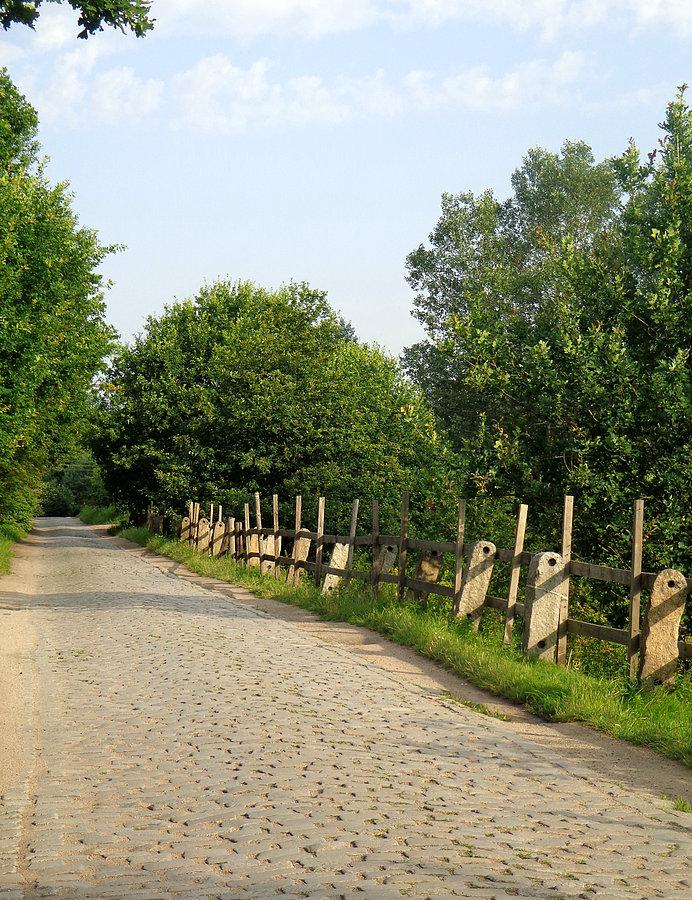 Rano na Ślęzoujściu