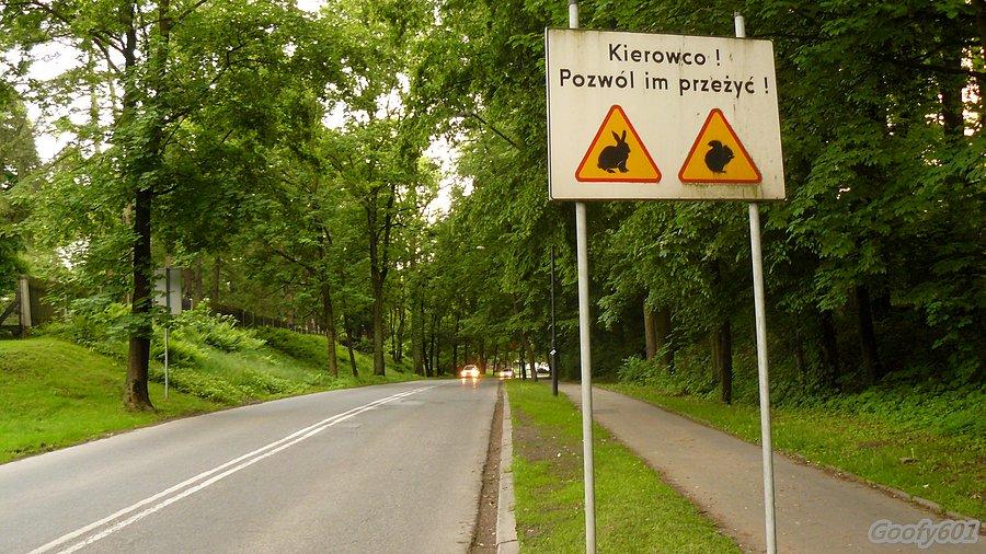 Rowerzysto też? ;)