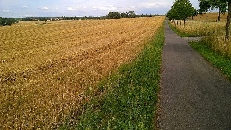 Droga rowerowa Löcknitz-Bismark