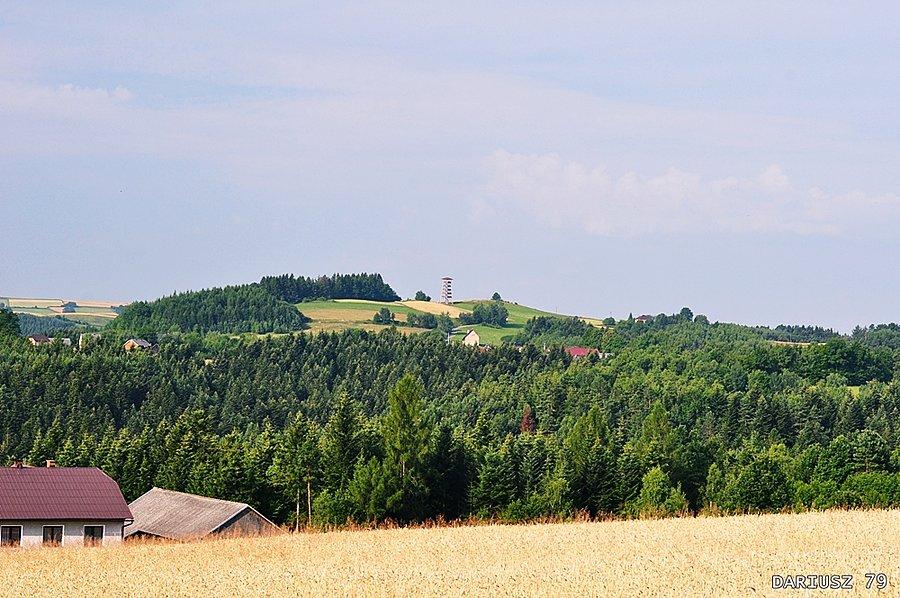 Bruśnik - Wieża widokowa