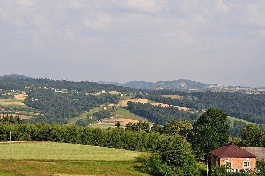 Widok z wieży widokowej z Bruśnika