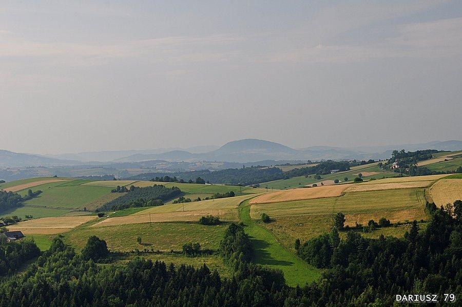 Widok z wieży widokowej z Bruśnika