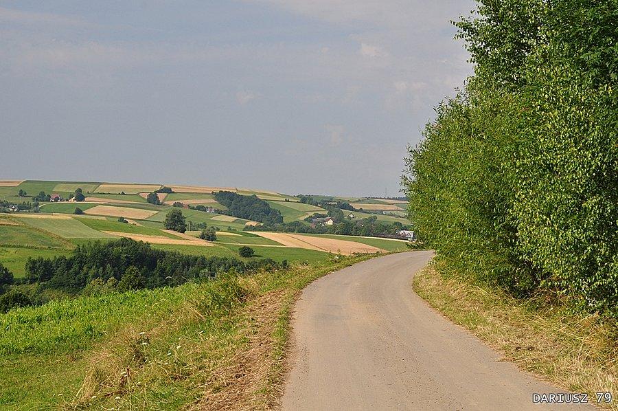 Bruśnik - Okolice