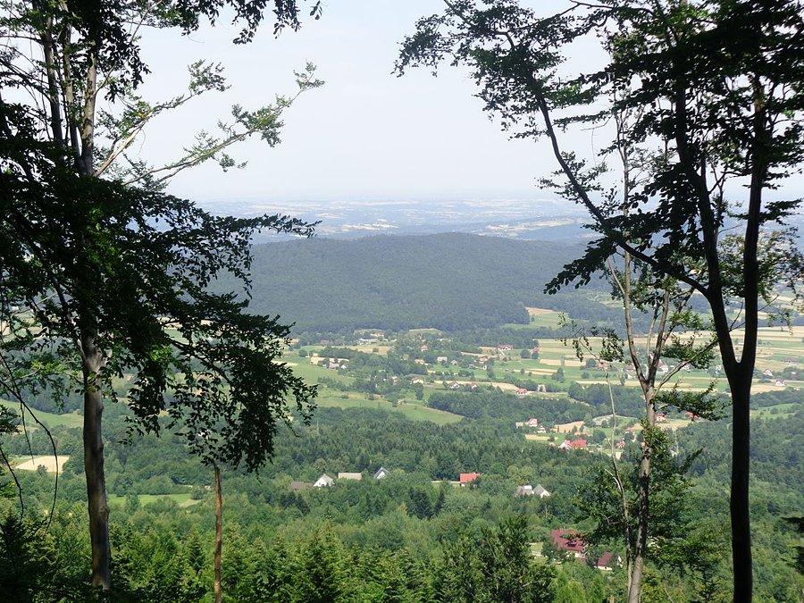 Coś tam widać