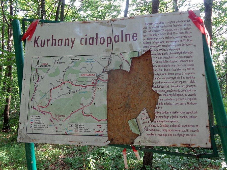 Kurhany..widoczne na trasie jak tat tablica