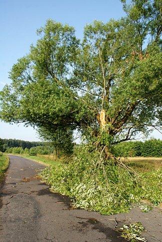 Po wczorajszej niejednej burzy