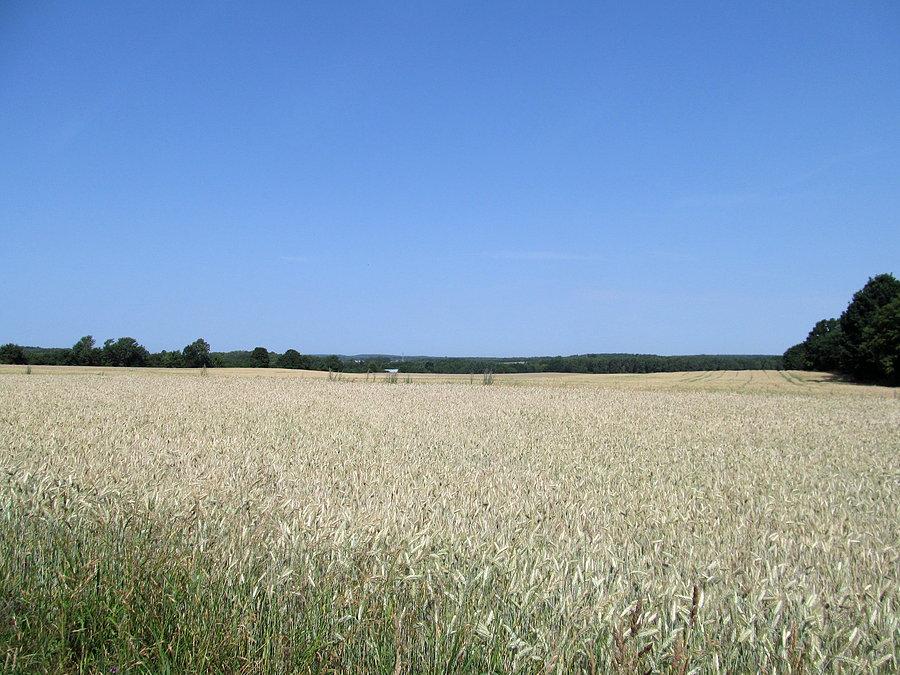 Rzut oka na PKWŁ z punktu widokowego w Plichtowie