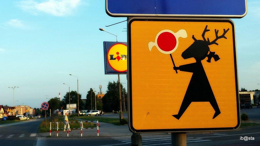 T-27 Przejście często uczęszczane przez jelonki ;)