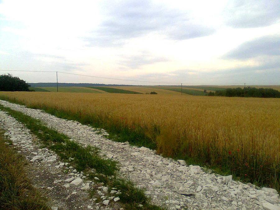 Polna droga tzw. "za górę"