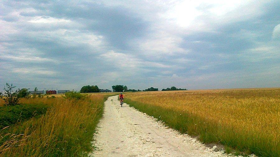 Polna droga w kierunku miejscowości Wodacz