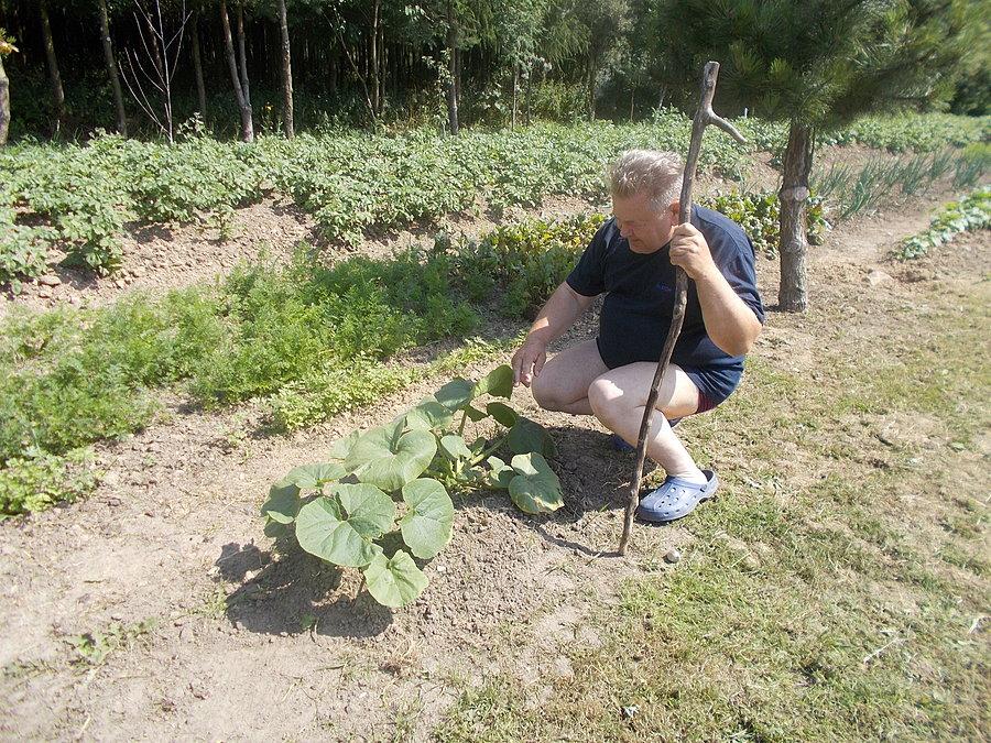 Pustelnik Zenon