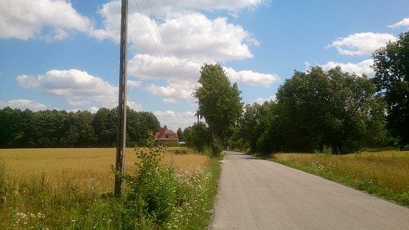 Droga gdzieś w Nowinach