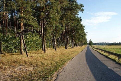 Koło lasu