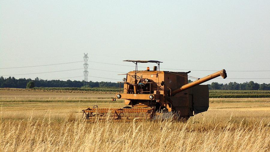Kombajn Bizon ZO56
