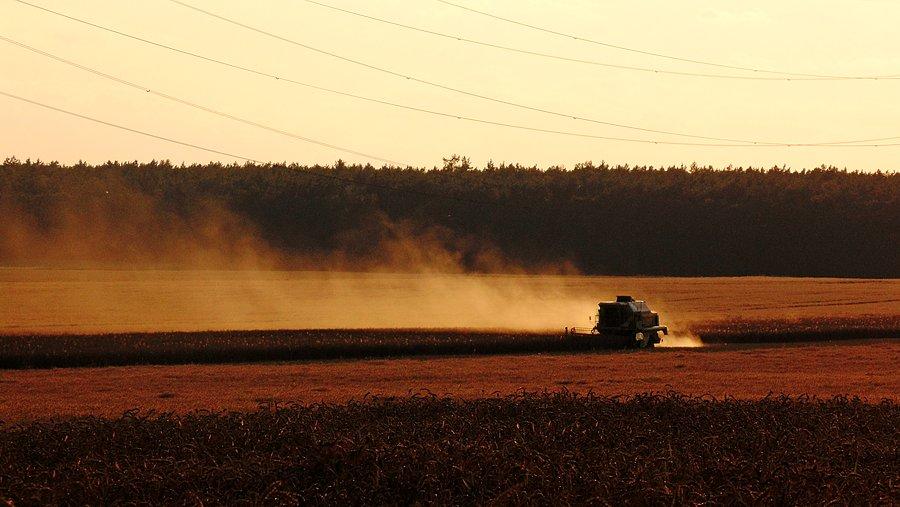 Kombajn Claas Dominator 106 koszący zboże