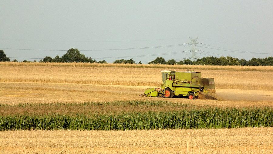 Kombajn Claas Dominator 85 koszący zboże