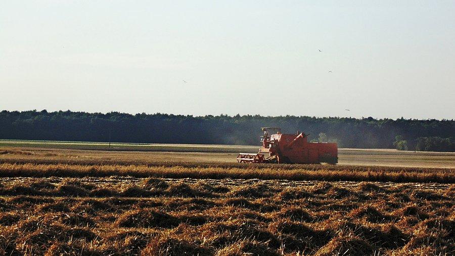 Kombajn Super BIZON Z056 koszący zboże