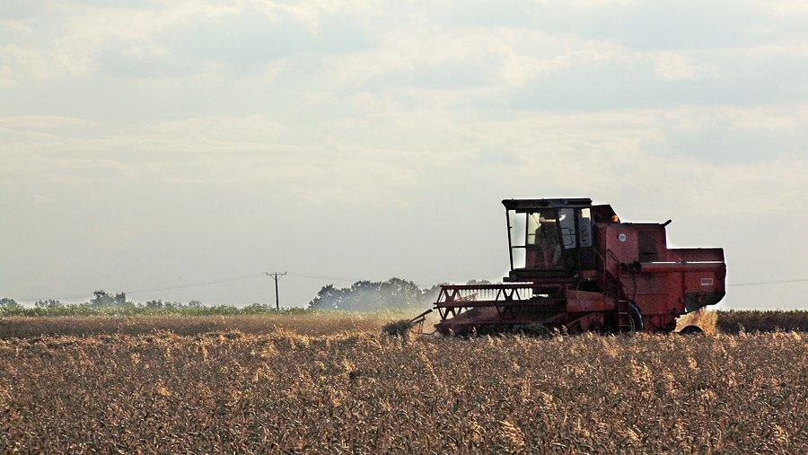Kombajn Bizon Z058 koszący zboże