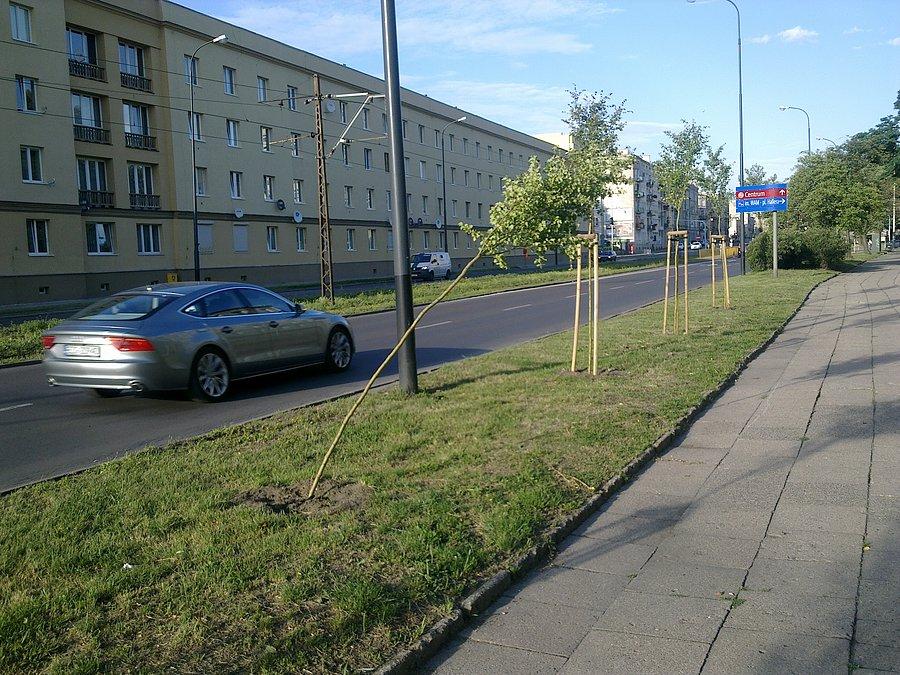 Łobuzy w akcji