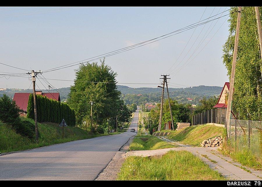 Dębno - Widok na Pogórze Wiśnickie