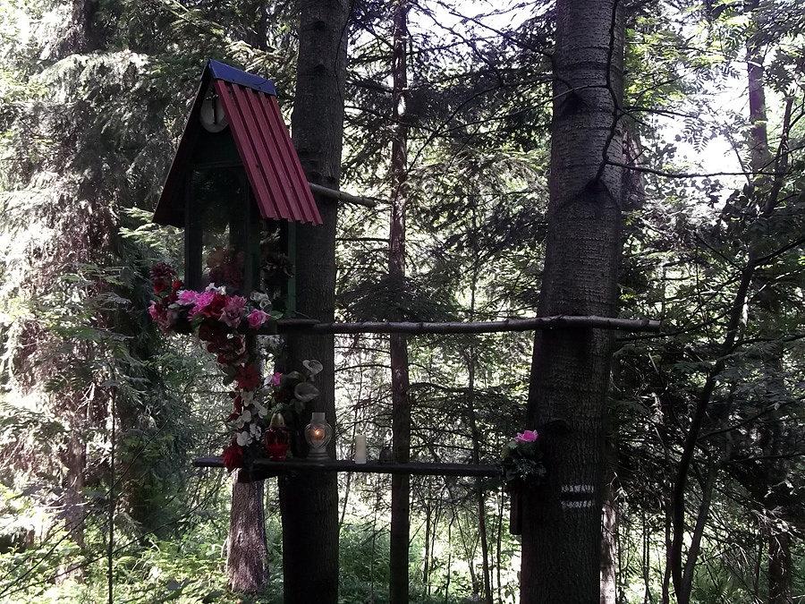 Kapliczka na czarnym szlaku
