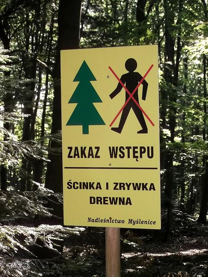Tak już zawracam